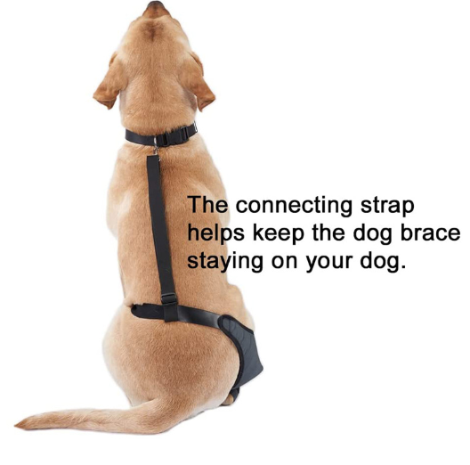 Anti Tear Dog Hock Protector Anti Vibration Dog Leg Brace For ACL Injury