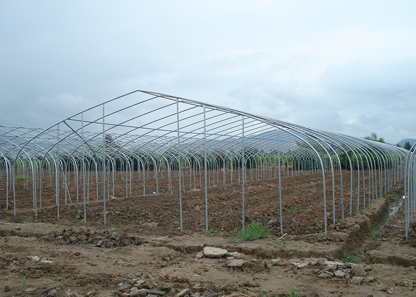 Ventilation Plastic Tunnel Greenhouse Garden Poly Tunnel For Tomato More Vigorous Growth
