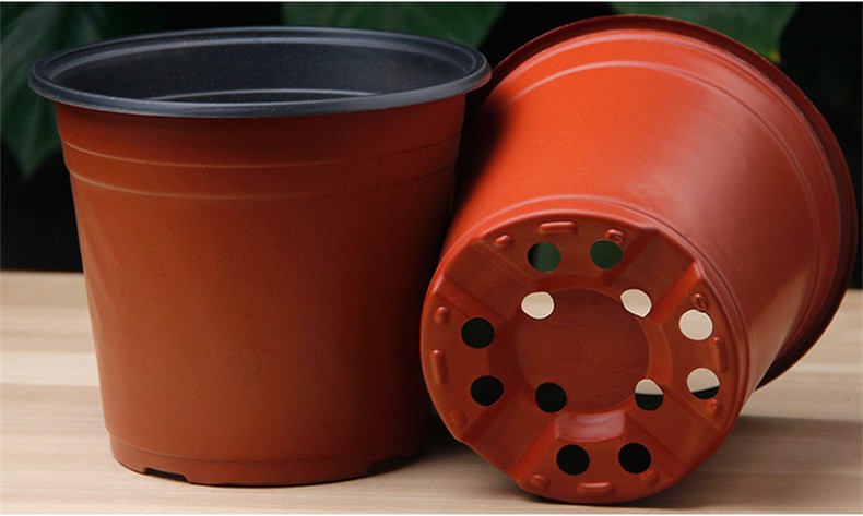 PP Sun Hemp 15cm Width Plastic Flower Pots 12 Drainage Holes