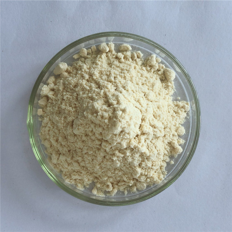 Best Selling Products Antibacterial Buy Apigenin With Best Price