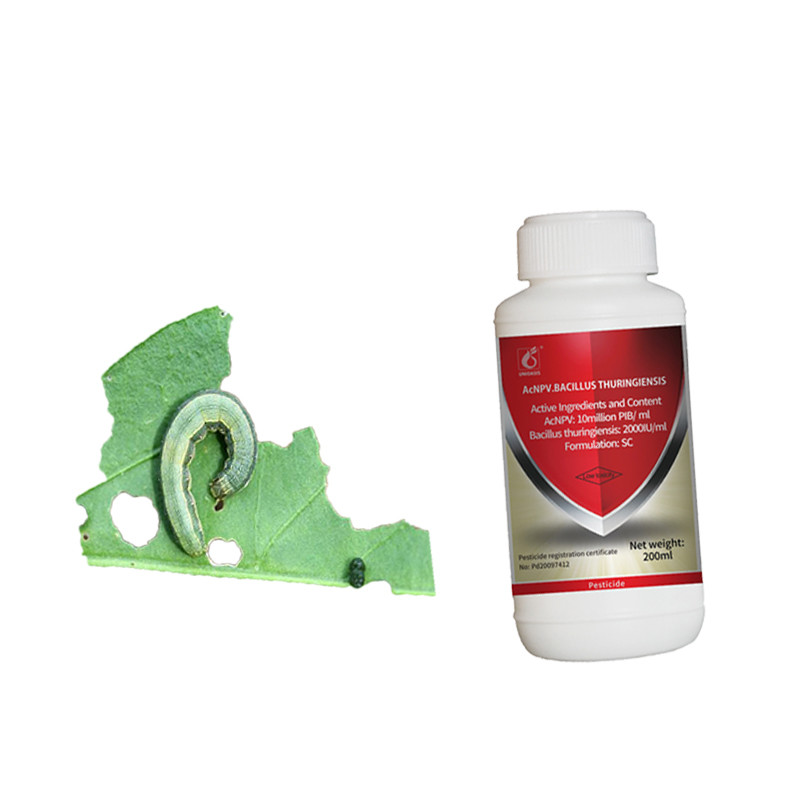 No Safety Interval Agricultural Pesticide AcNPV Kill Lepidopteran Pests For Turnip Tomato