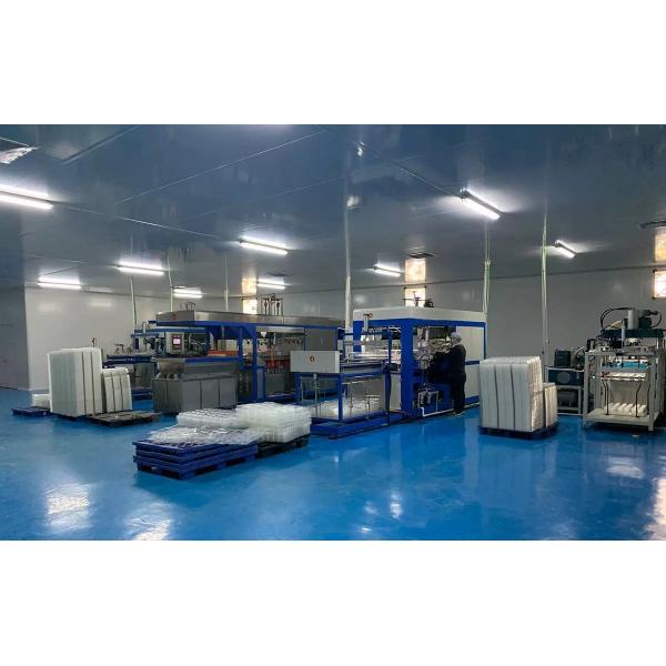 Factory OEM disposable transparent blister multi compartment PET egg tart donut pastry cake clam shell hinged packaging