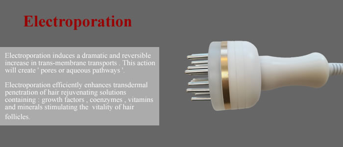 Low Level 650nm / 670nm Diode Laser Machine Hair Growth Machine Hair Loss Treatment BS-LL7H