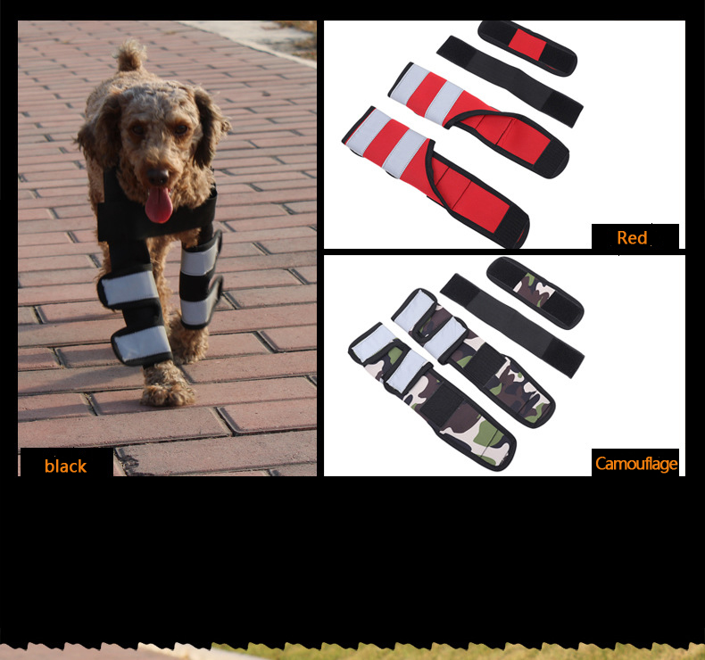 Hock Joint Sports Knee Pads Breathable Shockproof Custom Small Dog Knee Brace