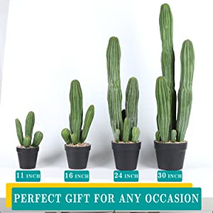 Artificial Cactus