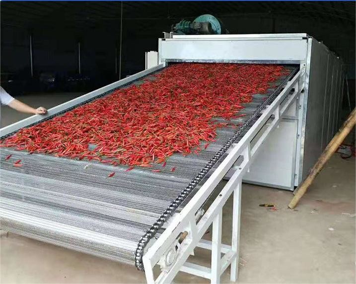 Dryer Rapeseed Carrot Drying Machine Onion Belt Dryer Herb Root