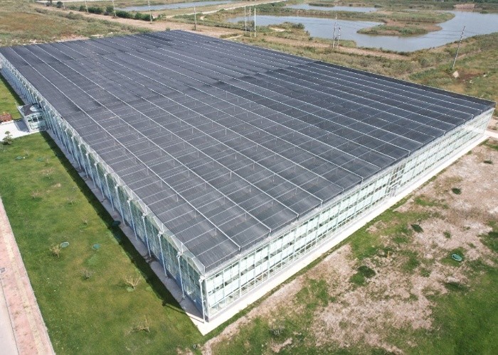Large Prefabricated Outdoor And Indoor Backyard Glass Greenhouse For Flower Growing