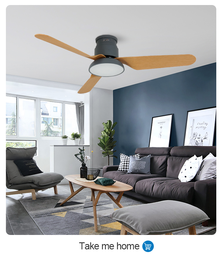 ceiling fan