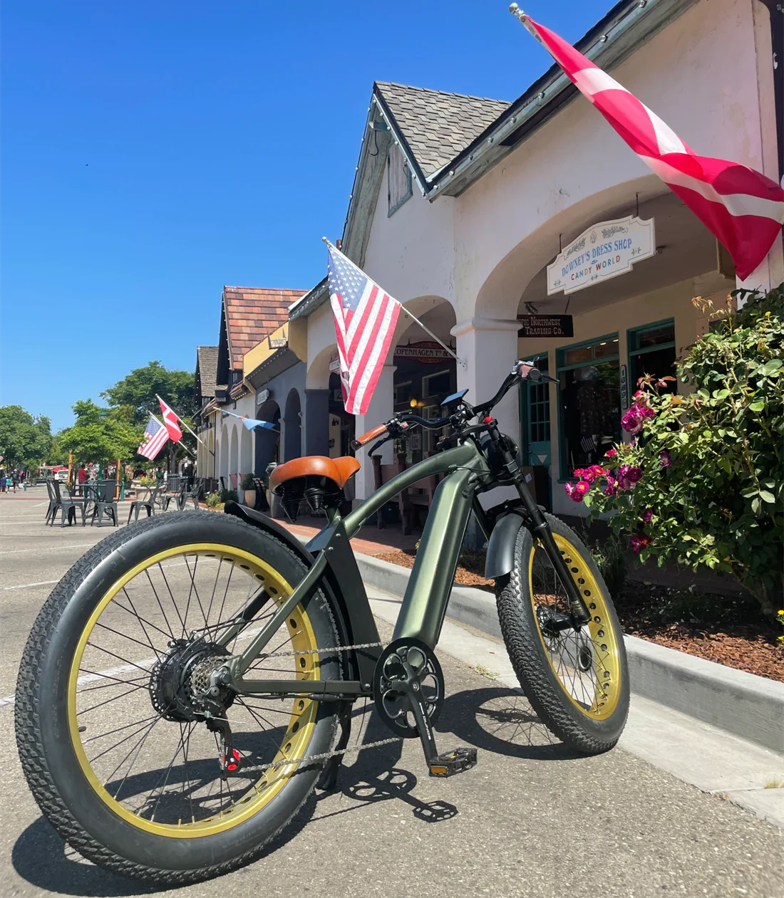 Long Range Beach Cruiser Electric Bike 48V 750W 26 Inch Fat Tire Ebike Beach Cruiser