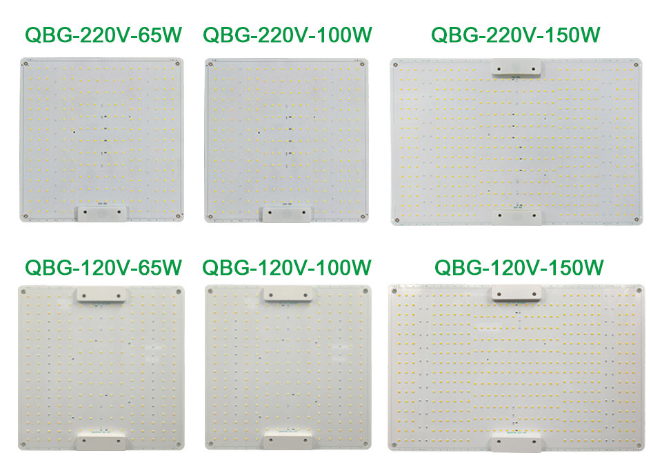 65w 100w Led Plant Light Switch Control For Flower And Vegetable Growth