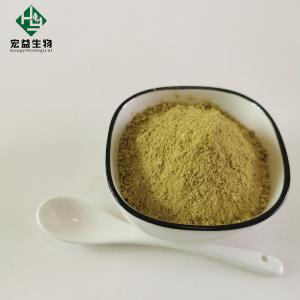 China Pure Scutellaria Baicalensis Root Extract Baicalin Powder 85% on sale