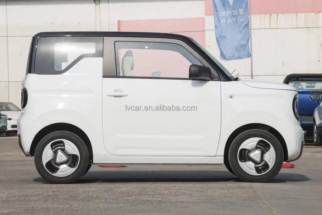 Rear Camera Equipped Geely Panda Mini Energy Vehicle with 200km Range and 3 Cylinders