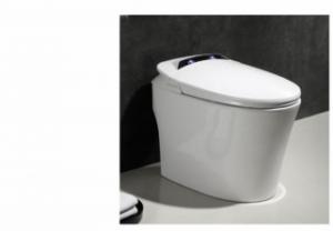 Buy cheap Infrared Sensing Dual Flush Siphon Toilet Hidden Drain Hole Design product