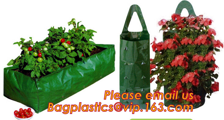 China factory supply irrigation system pe pipe price Ldpe pipe,25mm Garden irrigation PE pipe,Polyethylene PE Flexible P