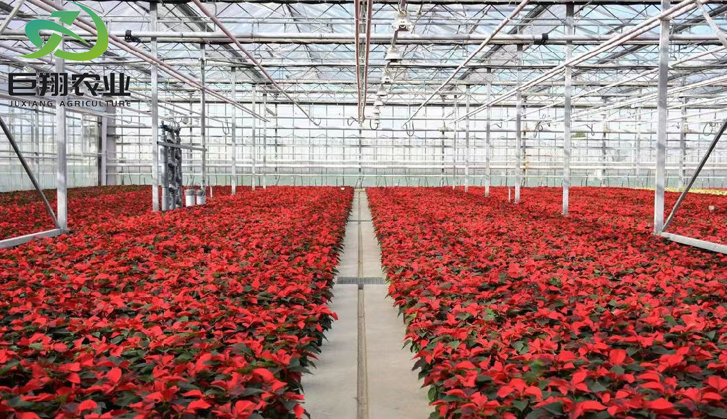 Agriculture Poly Tunnel100% Blackout Automatic Light Deprivation Greenhouse for Canada / USA