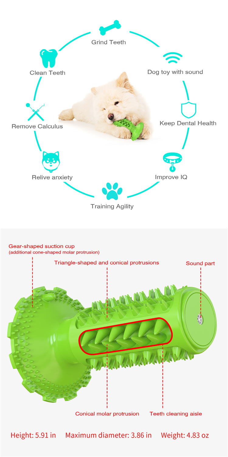 Professional Manufacturer Supply Classical Tpr Dog Squeaky Sounding Toothbrush Dog Interactive Toy