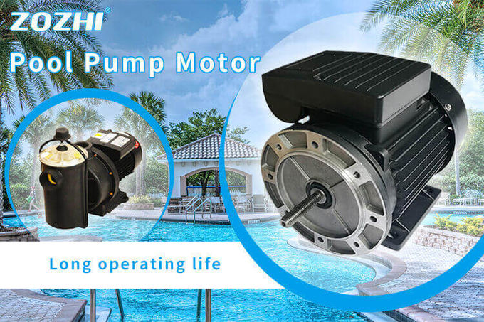 swimming pool pump motor  