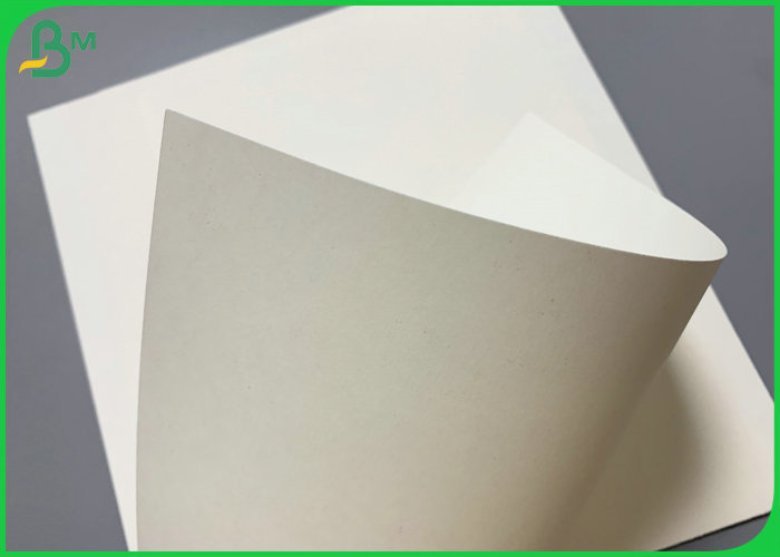 SGS Certificated 230g 260g PE Coated Cupstock Base Paper 850mm Roll
