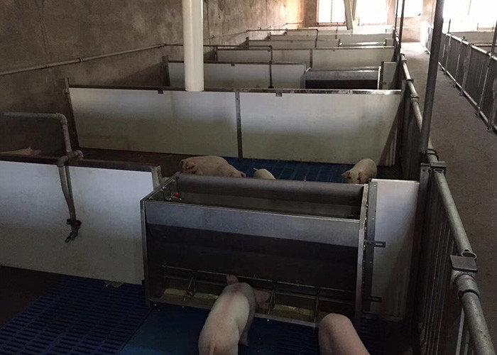 Weaned Piglet Nursery Crate 2.4*1.8*0.7m Piggery Tools And Equipments