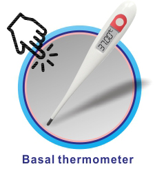 related-design3_03.jpg