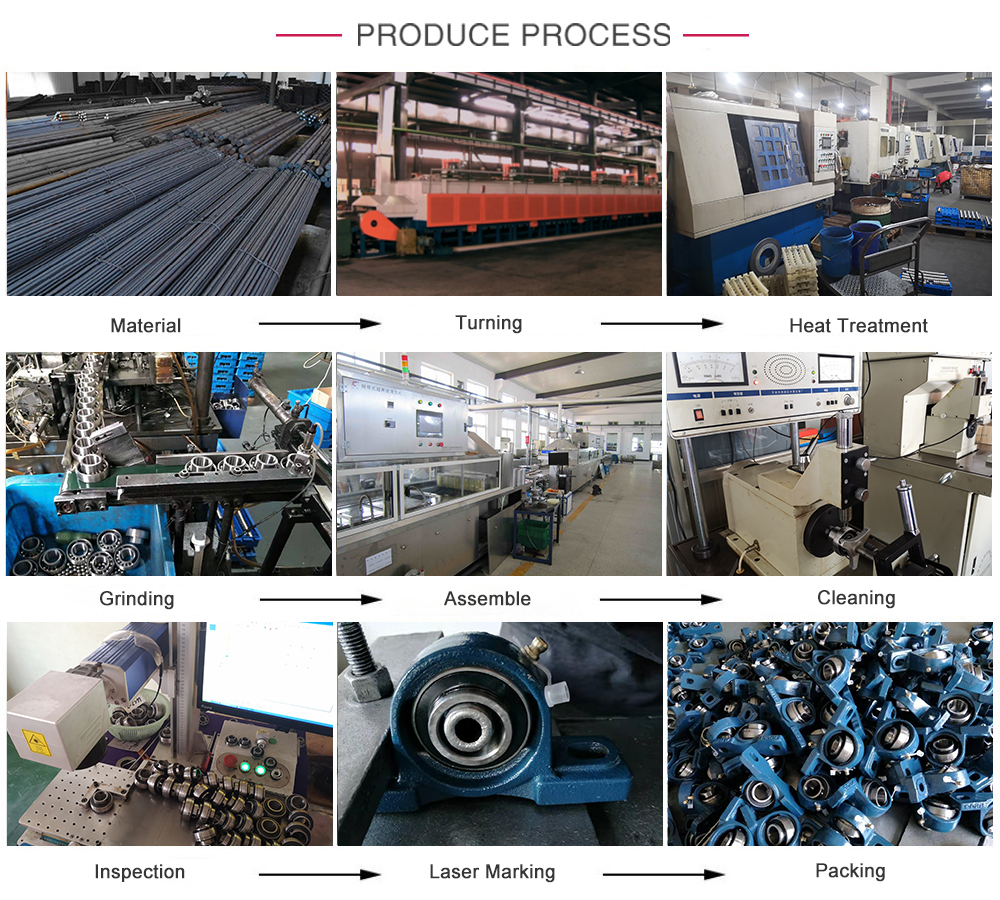 CTZ UCP Bearing UCP212 UCP 212 Bearing with P0 Precision Rating and ISO Certification
