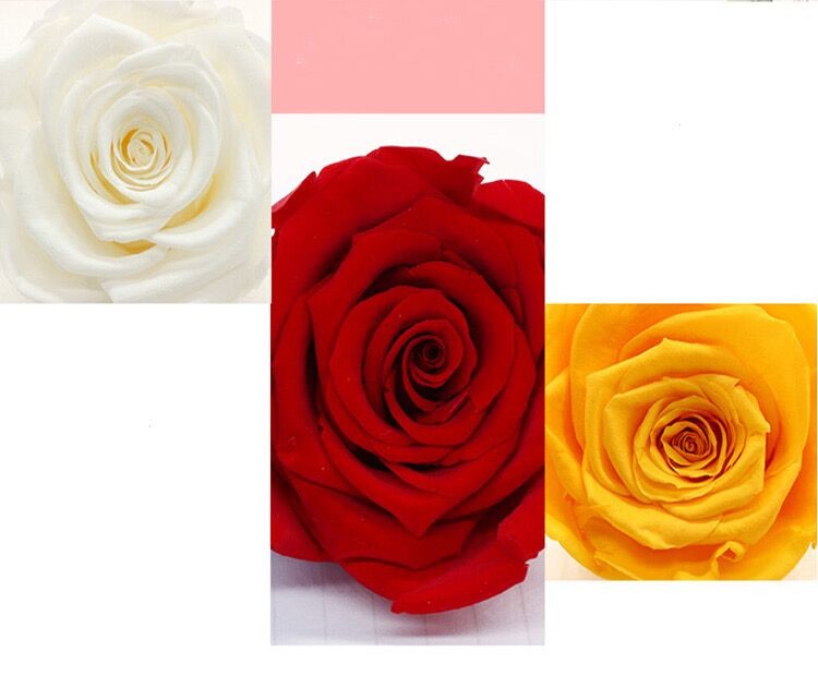 Hot Sale Beautiful and Romantic Preserved Roses Flower Roses in Heart Gift Box for Wedding Decoration