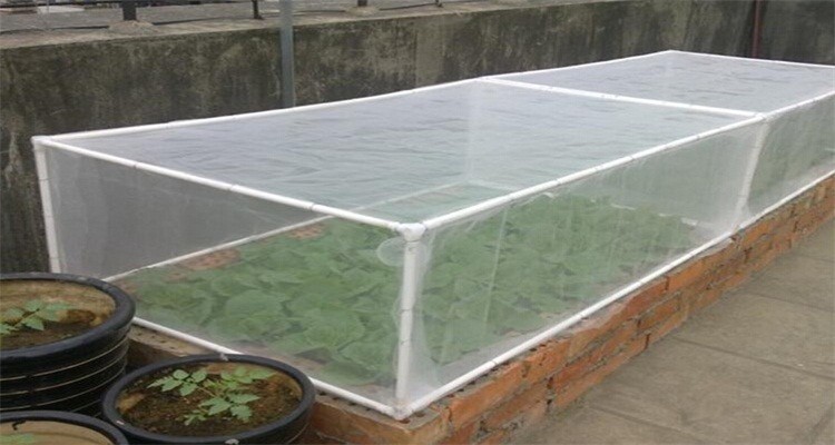 25 * 50 Mesh Insect Protection Netting High Tensile Strength For Pest Control