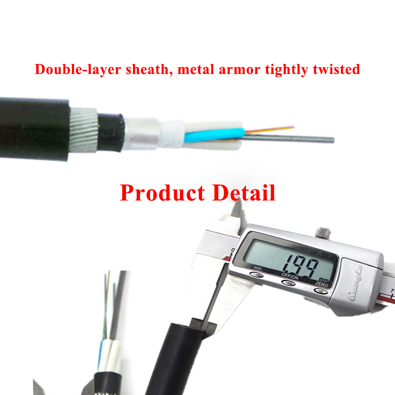 12 24 48 Core G652D Steel Wire Armored Submarine Fiber Optic Cable GYTA33