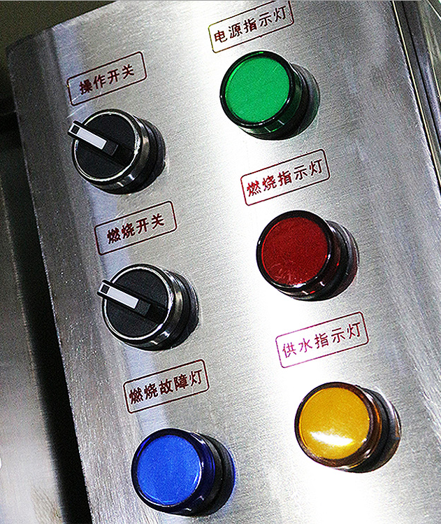 Vertical Automatic Gas Fired Steam Boiler 500kg/H 0.4mpa For Spa