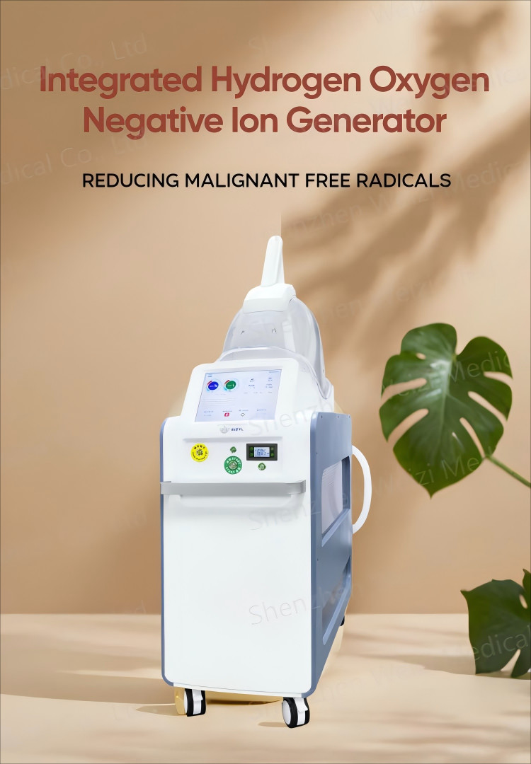 220V Hydrogen Oxygen Negative Ion Generator Reduce Fatigue WEIZI