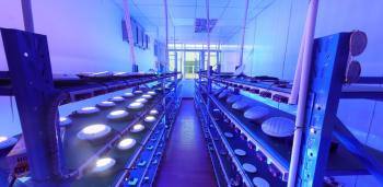 Shenzhen Refined Technology Co., Ltd.