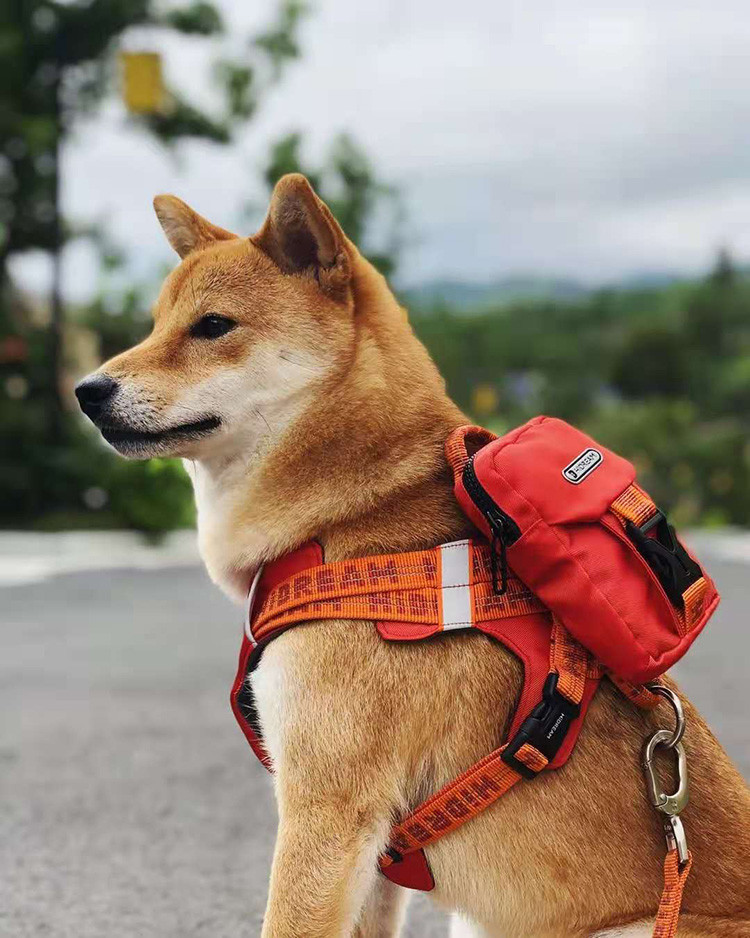 15CM Personalised Pet Accessories Small Medium Large Dog Puppy Backpack Harness
