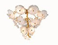 ODM High End Pendant Lights Personality Lotus Leaf Chandelier