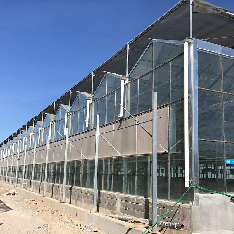 Full Set of Agricultural Greenhouses with Galvanized Skeleton and Easy to Install