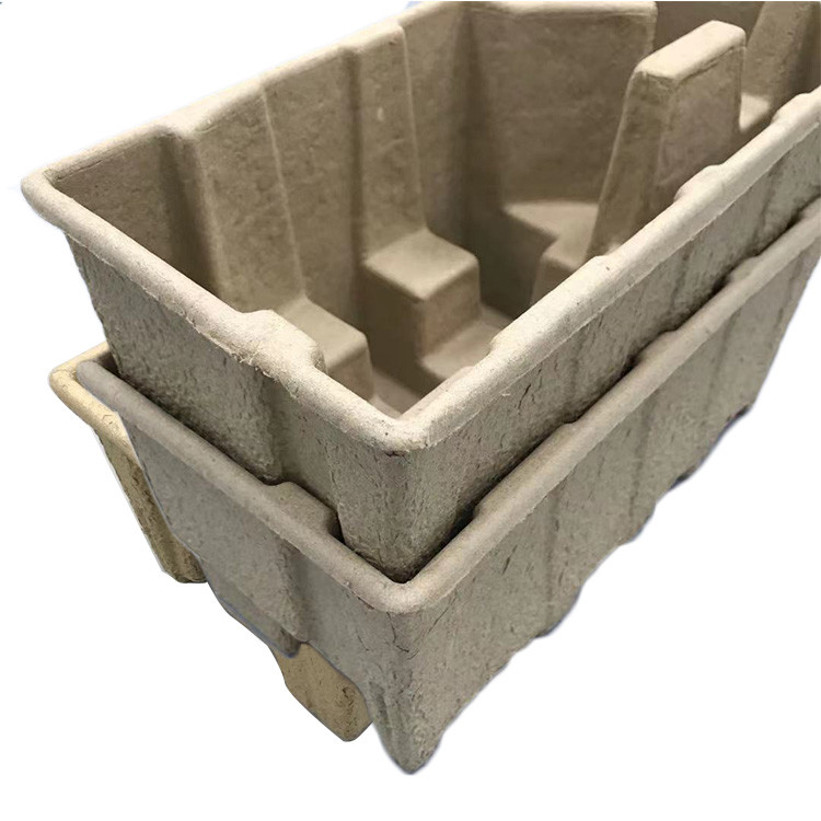 SGS Bagasse Paper Tray Packaging Eco Friendly OEM Acceptable