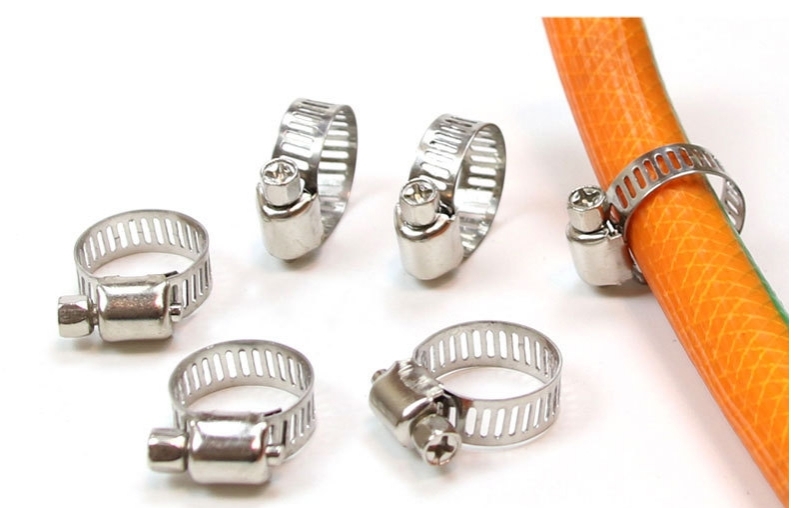 Polishing Finish Stainless Steel Hose Clips for Large Size American Style Spring Hose