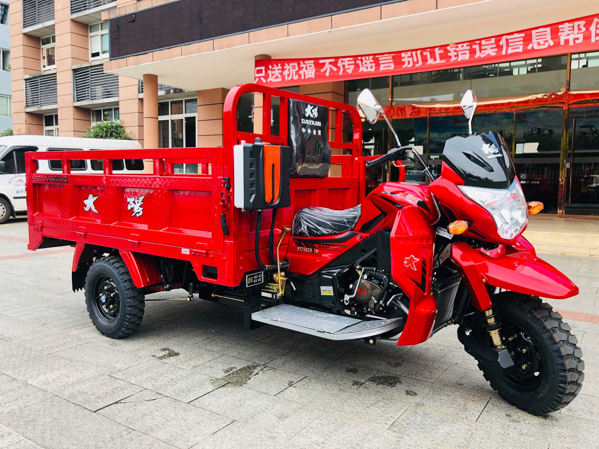 800W DAYANG DY-R1 RUITENG 250cc Cargo Tricycle for Heavy Duty CCC Three Wheels Motorcycle