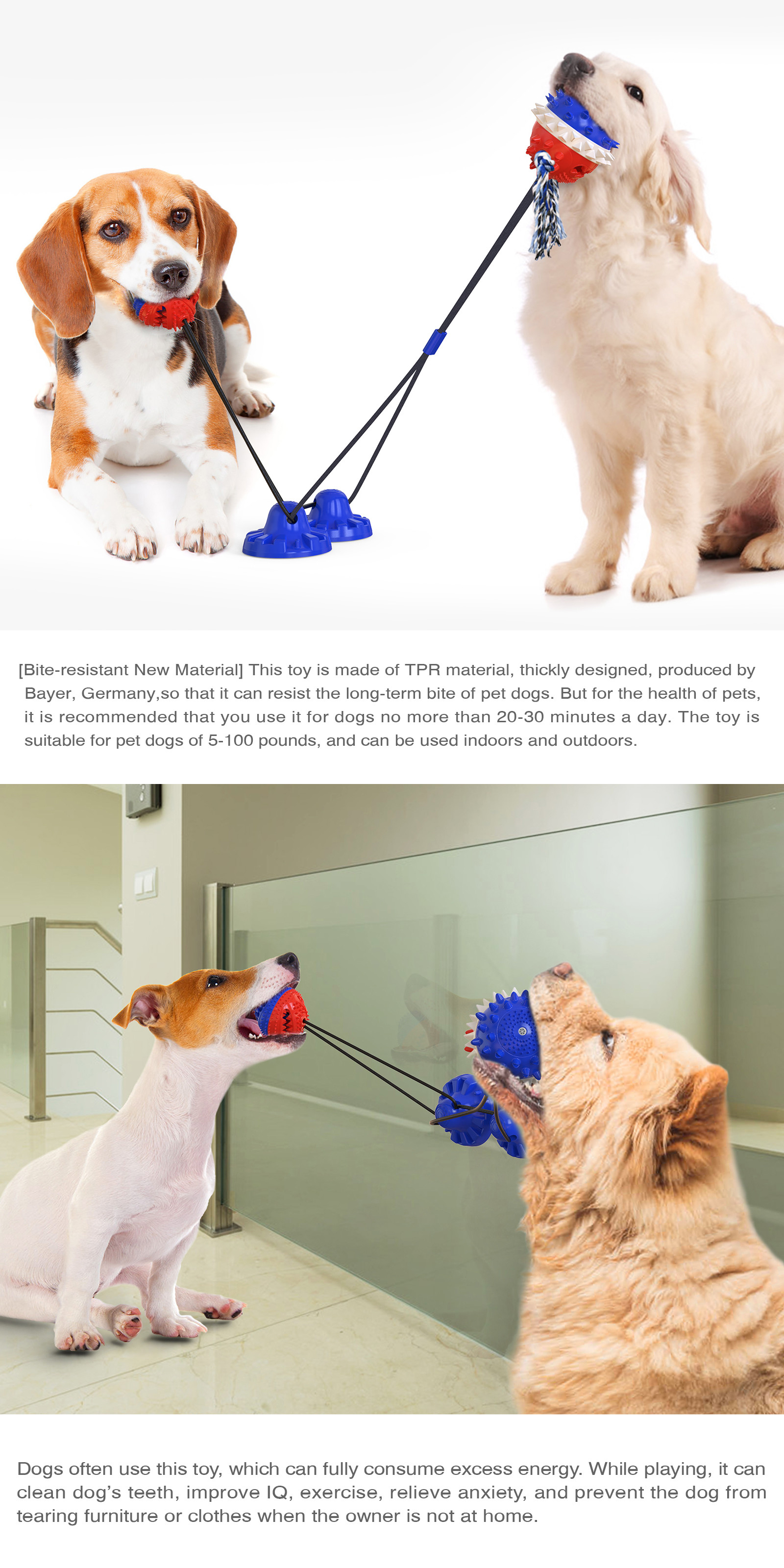 Double Suction Cup Squeaky Interactive Pet Toys Dog Teeth Cleaning Ball TPR ODM