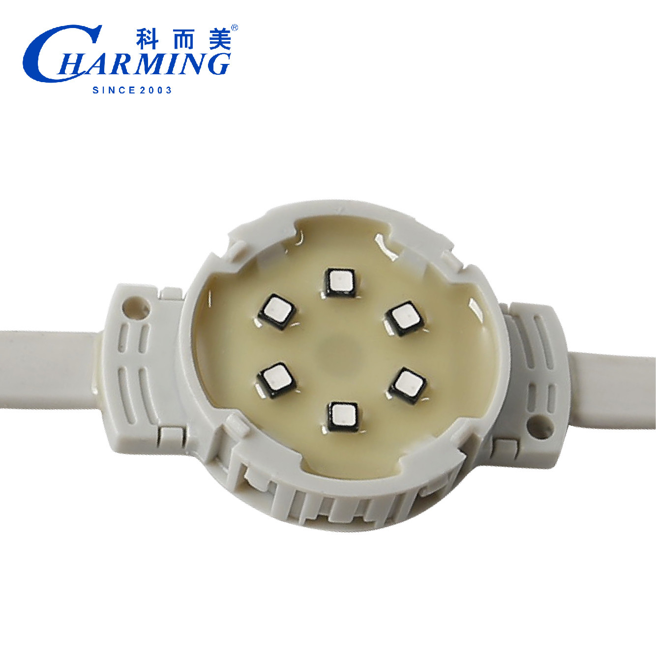 LED Pixel Lights 50C SMD3535 IP66 SPI Control Outdoor Light Exterior Wall Decoration Stage Lighting