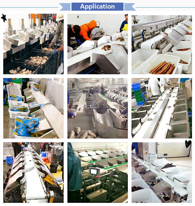Small Scale Automatic Live Red Shrimp Fish Aquaculture Tilapia Fry Grading Sorting Machine Fish and Shrimp Sorting Machine