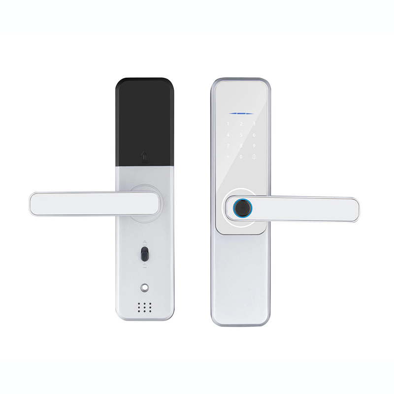 Unlock Method Tuya TTlock Password Fingerprint Smart Locks For Home
