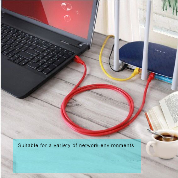 0.5m 1m 2m 3Mtr 23AWG 0.58mm RJ45 Cat6 Ethernet Patch Cable PVC Jacketed