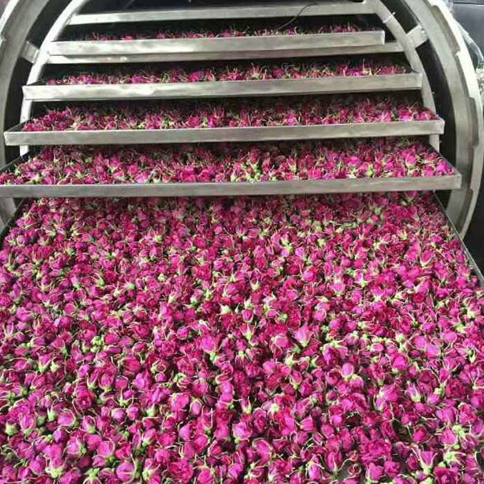 Vacuum Stainless Steel Industrial Freeze Dried Fruit Machine