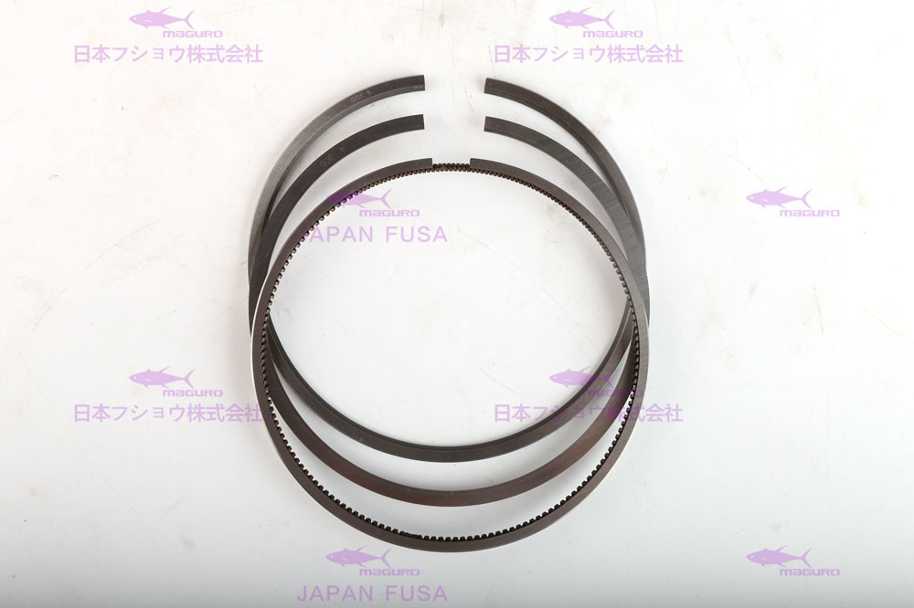 DEUTZ EC250D Hydraulic Piston Rings Diameter 108mm OEM 21299547