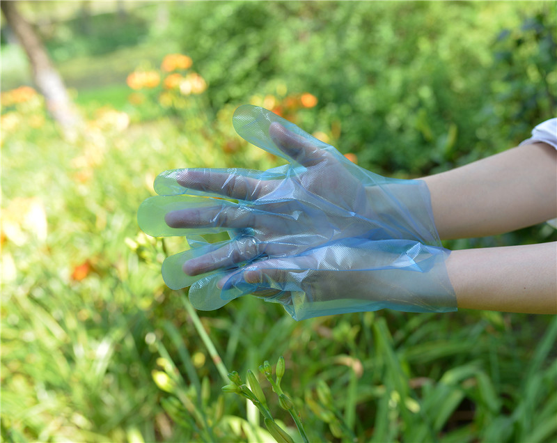 Ambidextrous Food Grade Disposable TPE Gloves