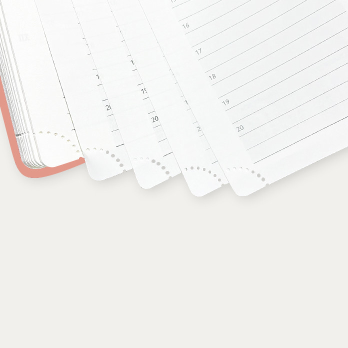 OED ODM Weekly Academic Planner 2023 Pink 2 Page Weekly Schedule 2022 2024