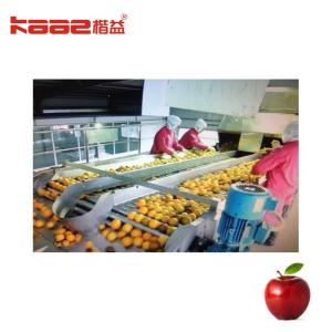 Buy cheap Use Weighing Intelligent Photoelectric Apple Sorting System For Apples product