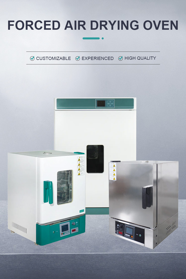 Electric Blast Drying Oven for Laboratory Fruit Drying Electrostatic Spraying Coating