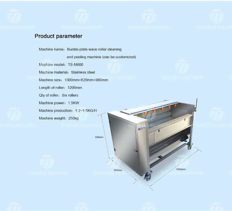 Factory direct with standard multi-functional fruit washing machine medium-sized lotus root washing radish machine