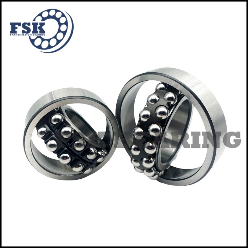 Miniature Size 129 TN9 1200 ETN9 2200 E 2RS1TN9 Self Aligning Ball Bearings Double Row